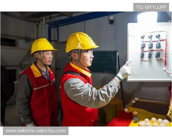 亚博YaBo真人视讯安全保障措施，保障玩家资金与个人信息安全的全面介绍